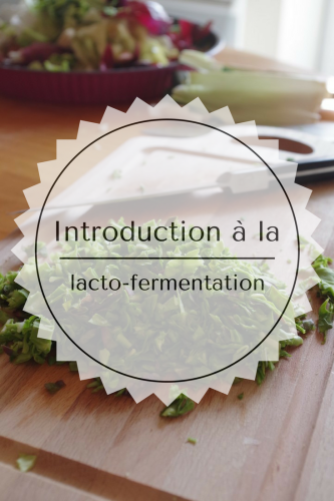 introduction-lactofermentation